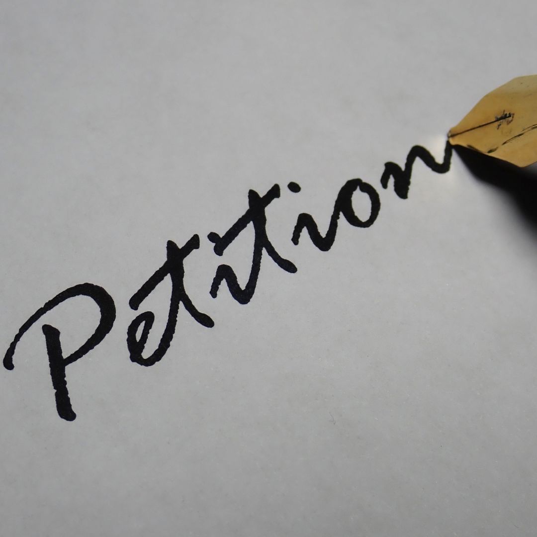 Friends of Ladysmith Community Marina Petition Launch