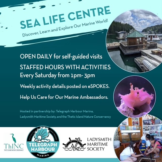 SealifeCentrePoster SealifeCentrePoster