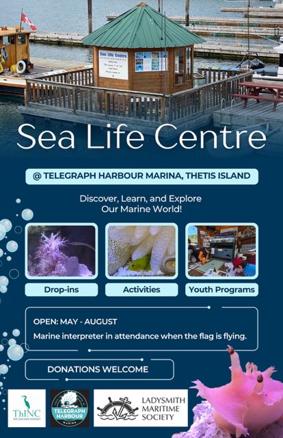 2026-Sea Life Centre Poster 2026-Sea Life Centre Poster